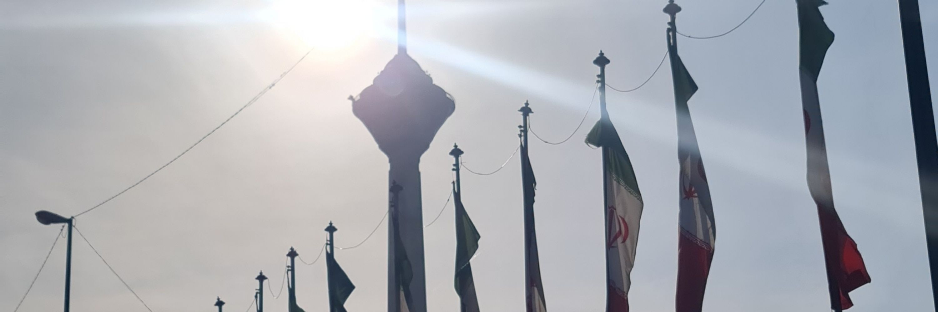 ارینب سیفی