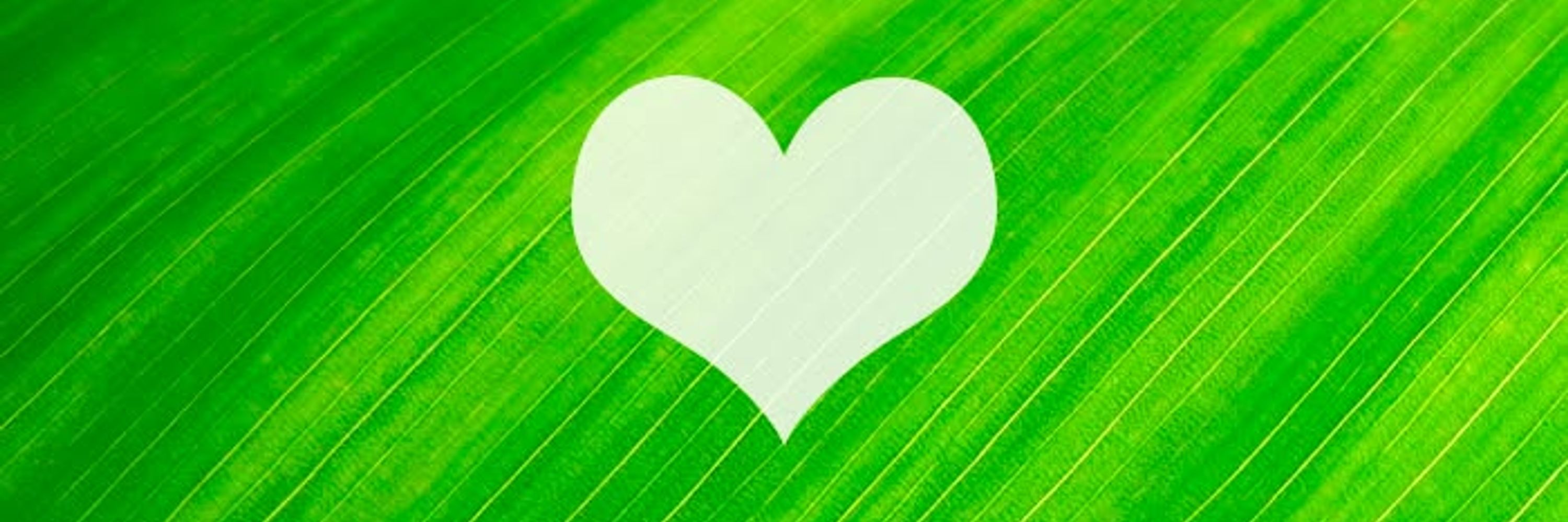 Yo Amo Verde