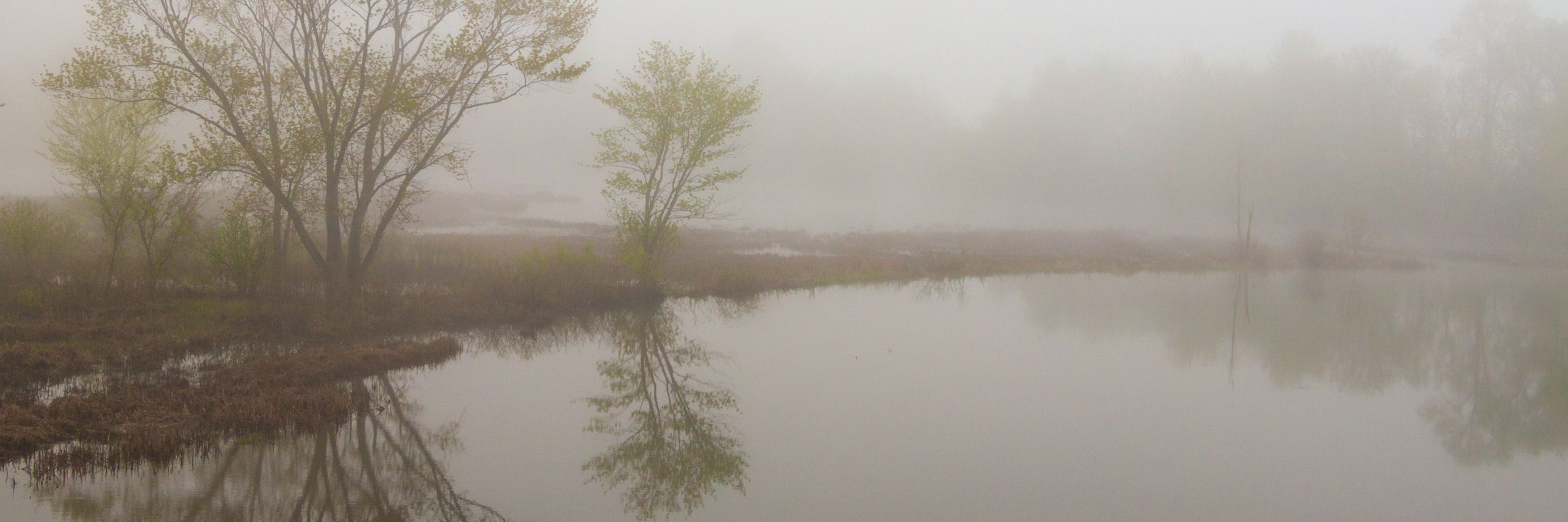 Vermont Center for Ecostudies