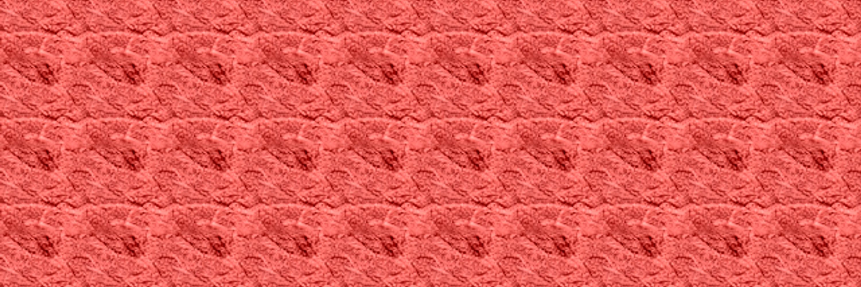 SprSn64