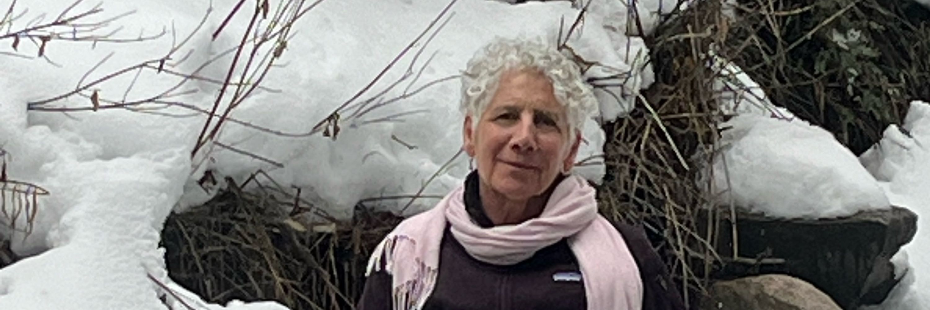 Gail Tomassetti