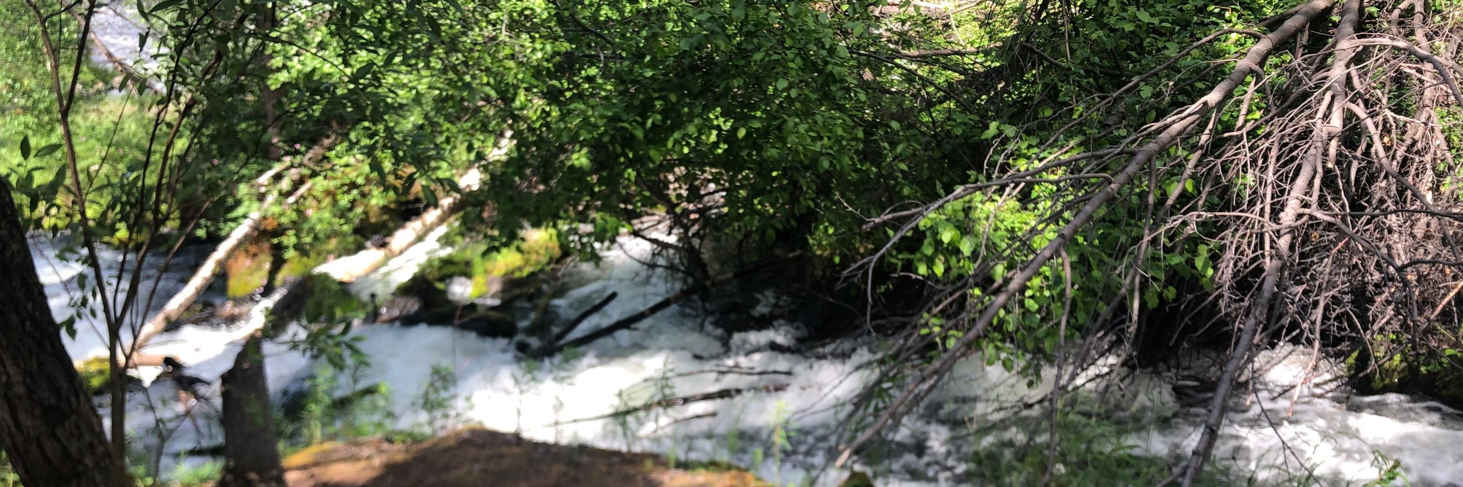 Aspen