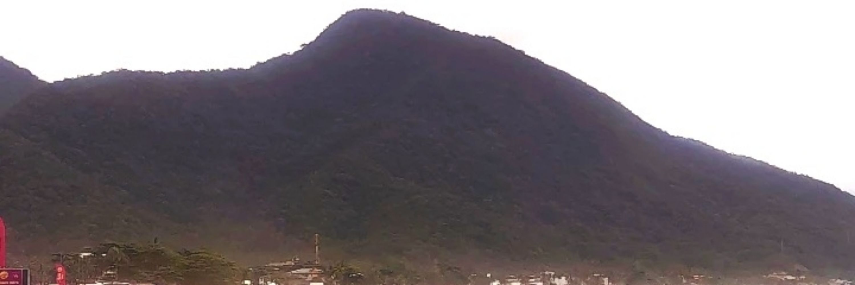 Halu