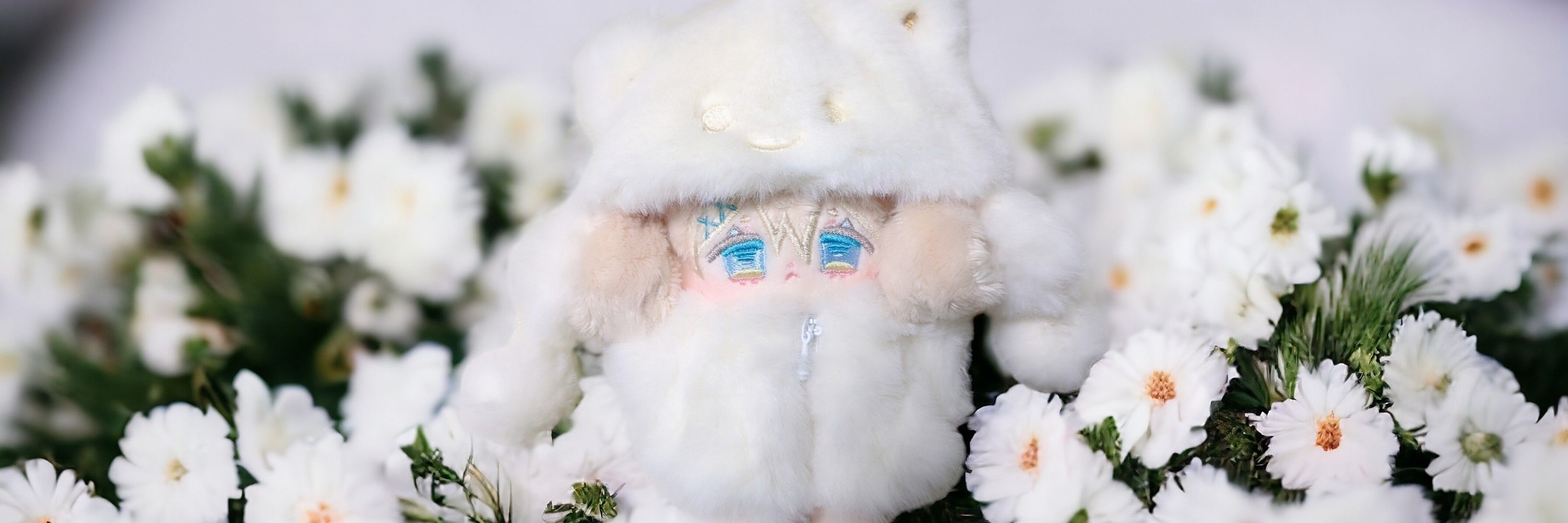 めむこ