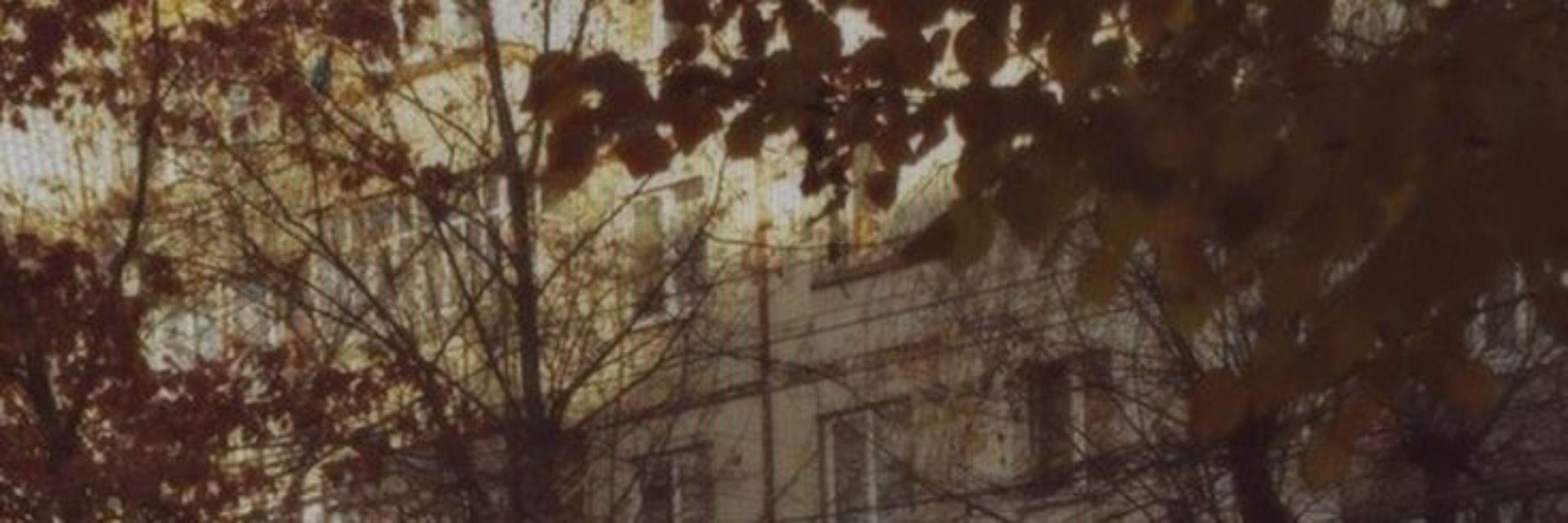 mist