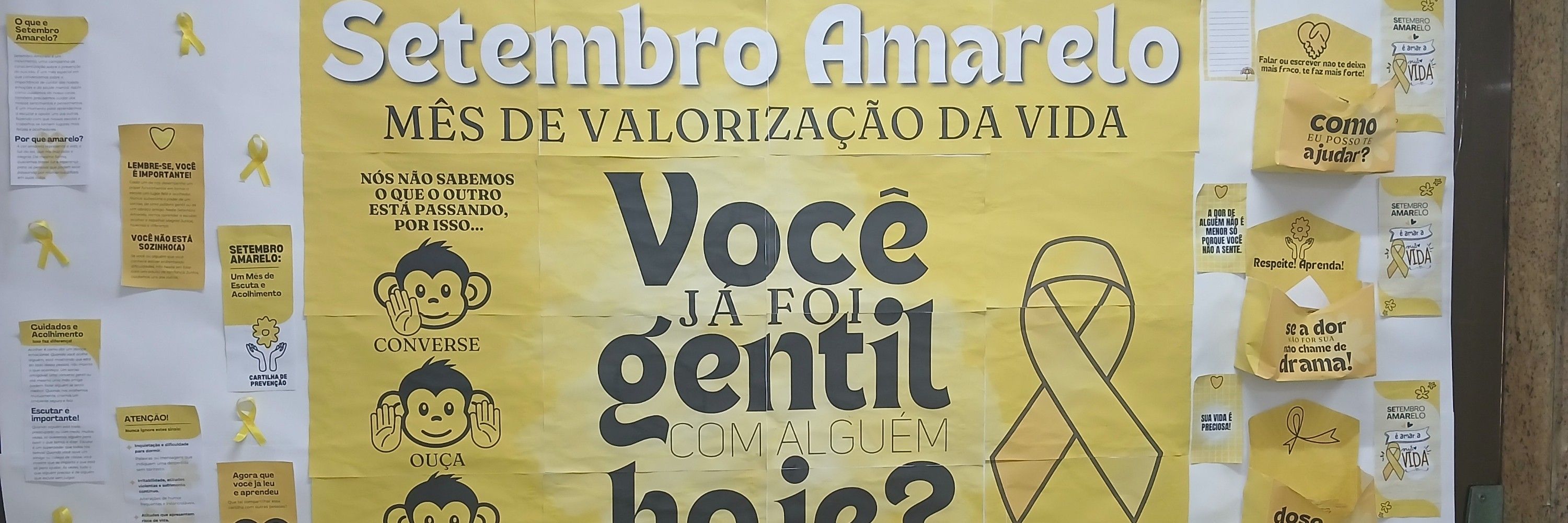 Grazi Souza