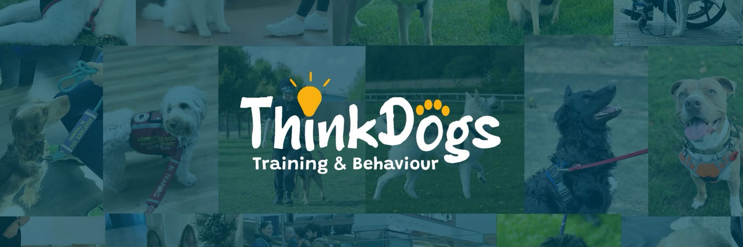 ThinkDogs Training & Behaviour