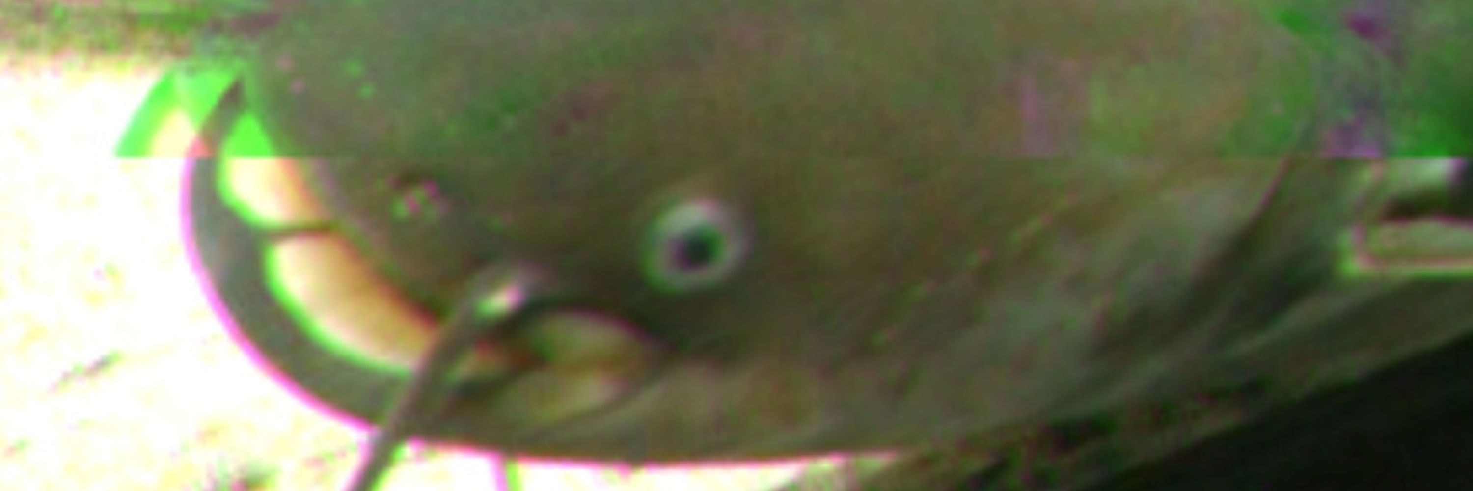 りくろあ