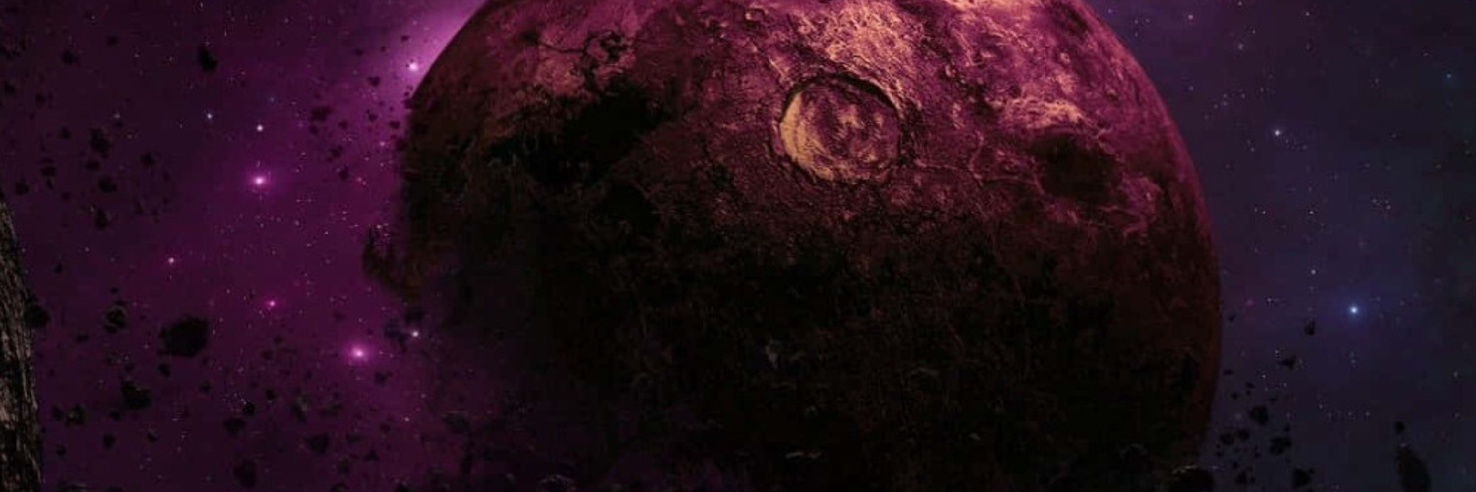 stellarvore