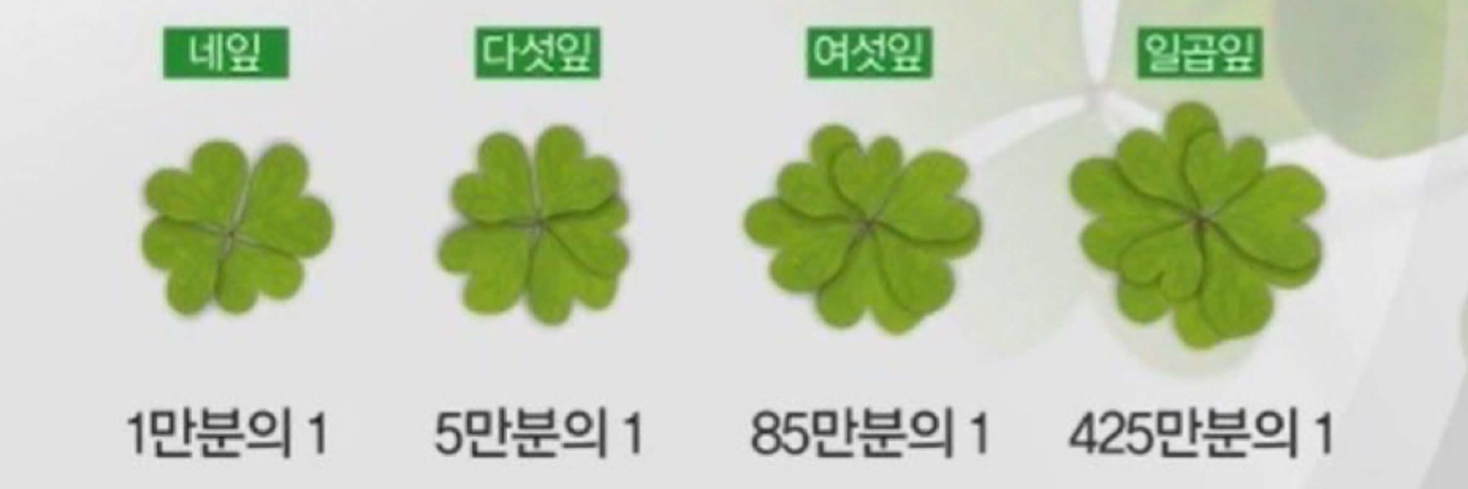범콤2.0
