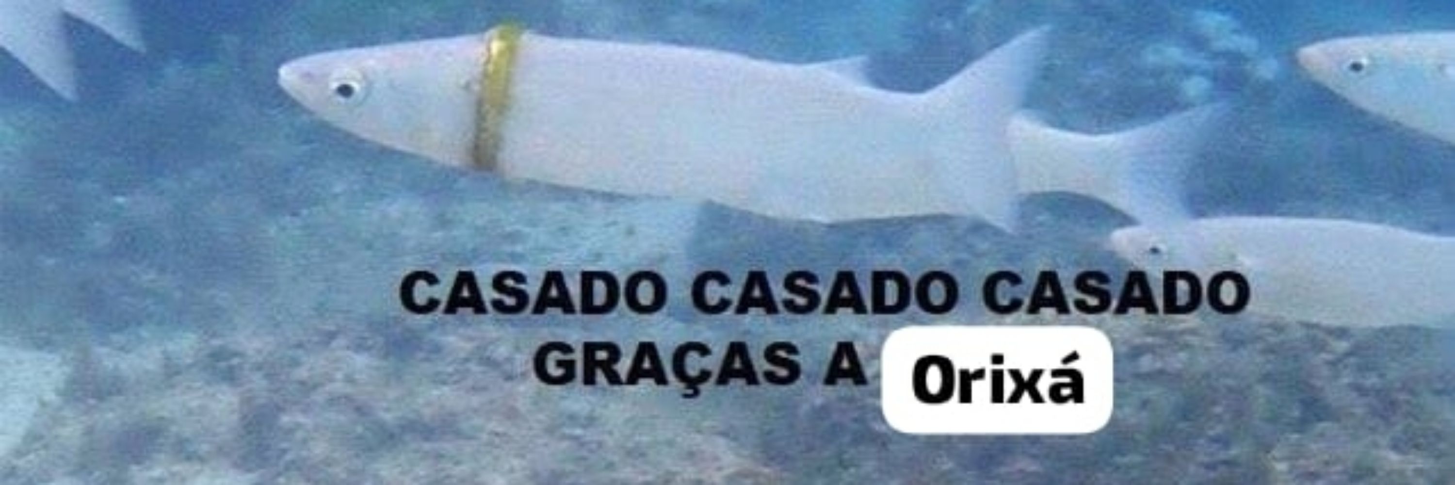 O último romântico 