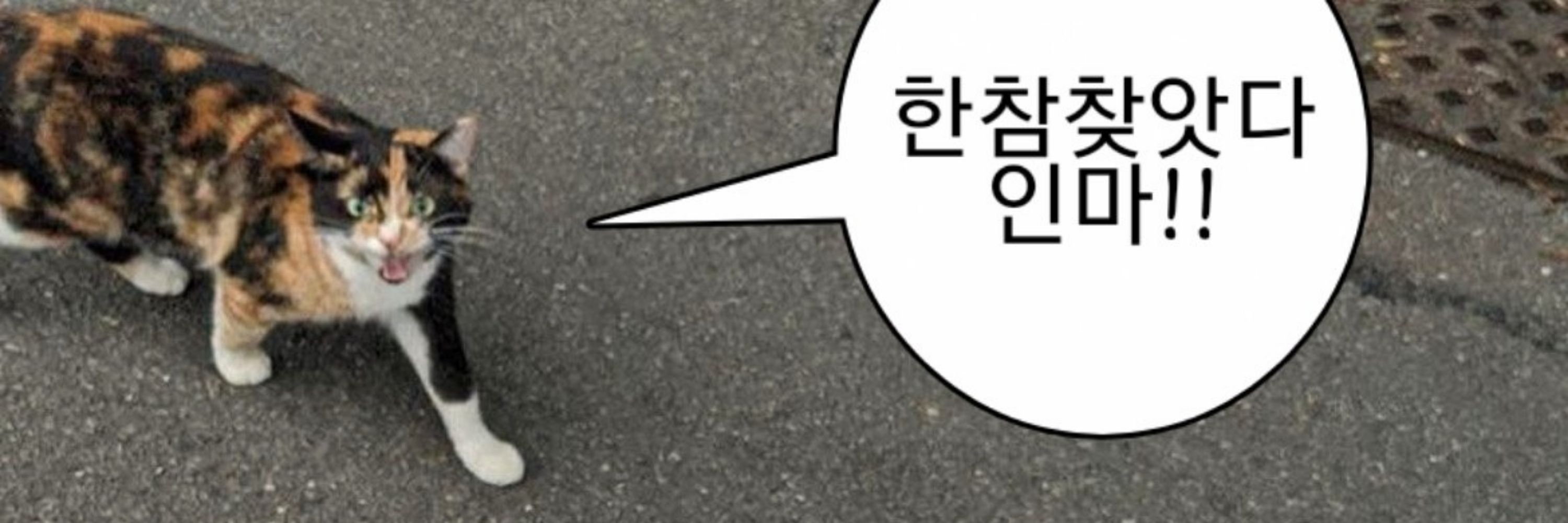 찬