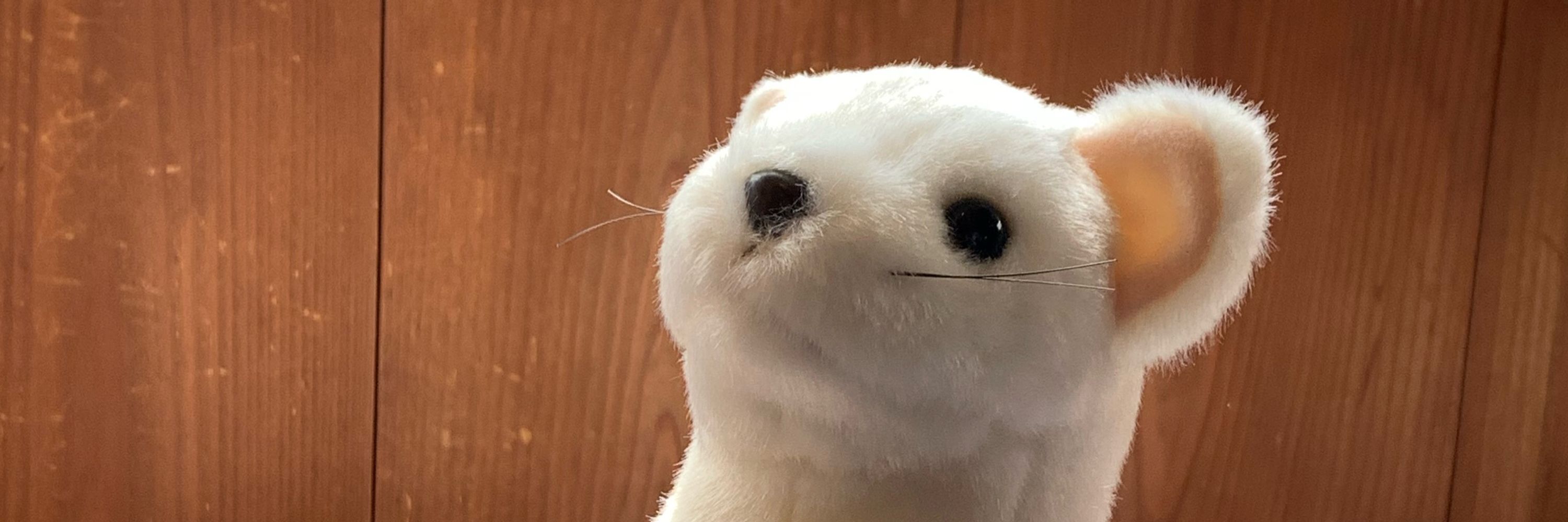 いずも