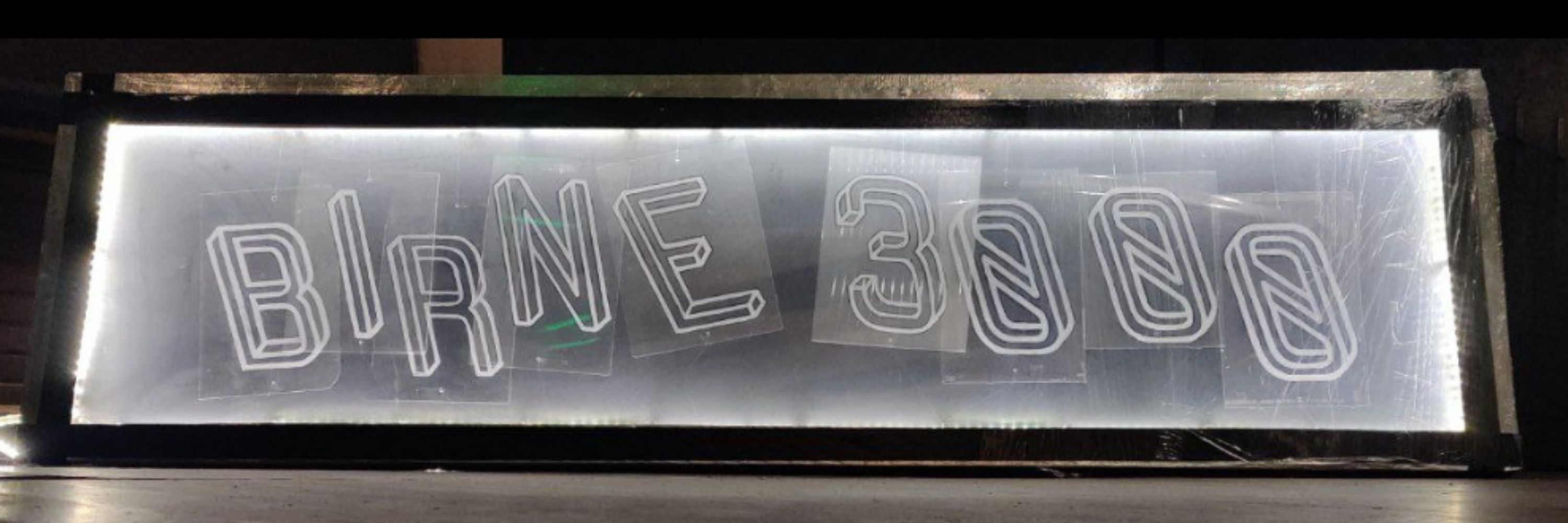 BIRNE3000
