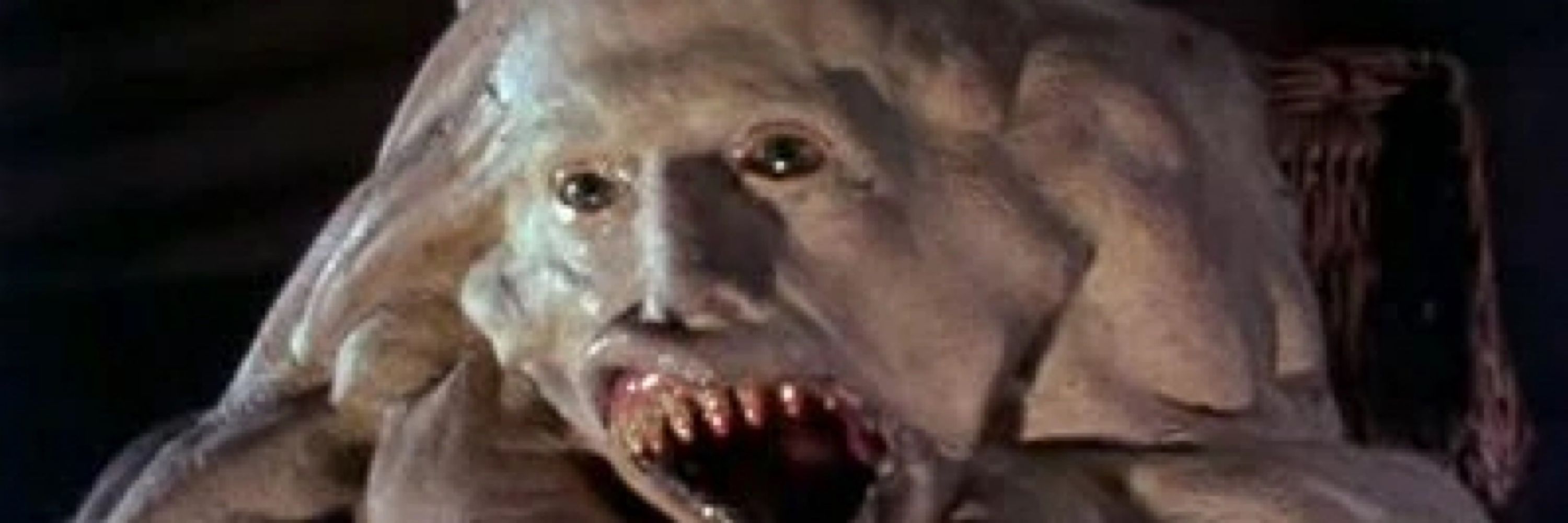 Monsters and the Mosh Pit