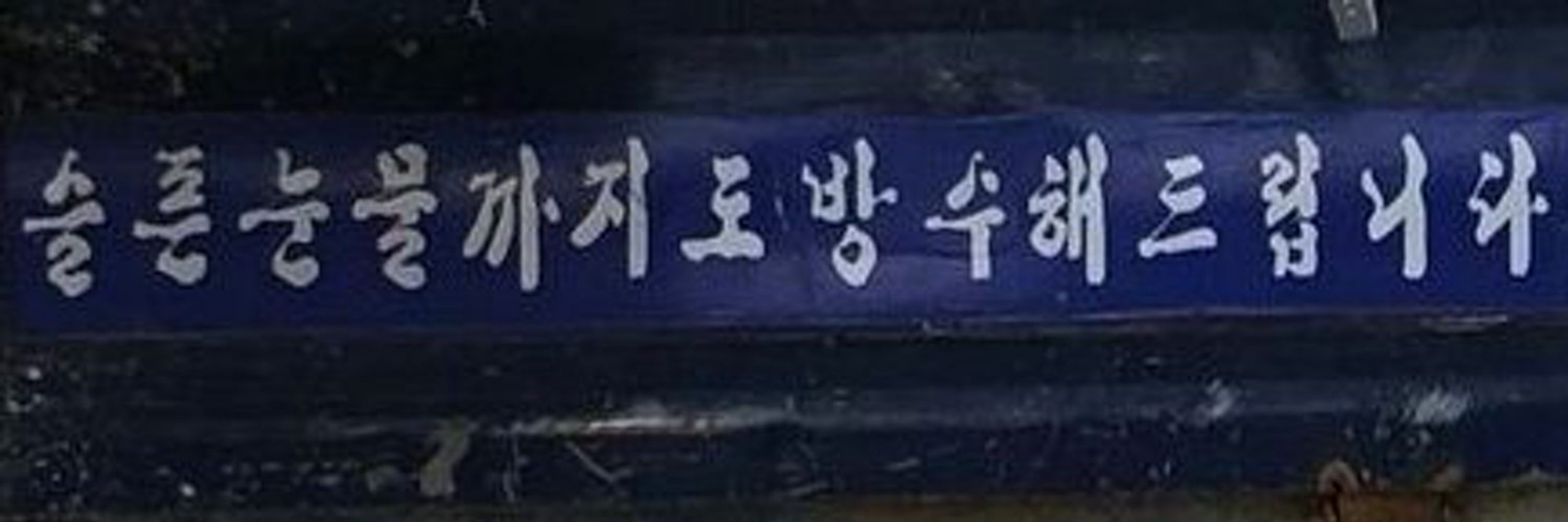 솔트
