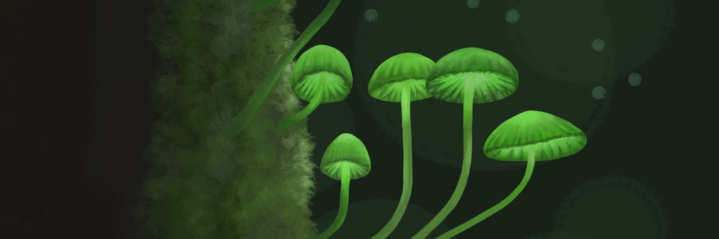 MosssSoup