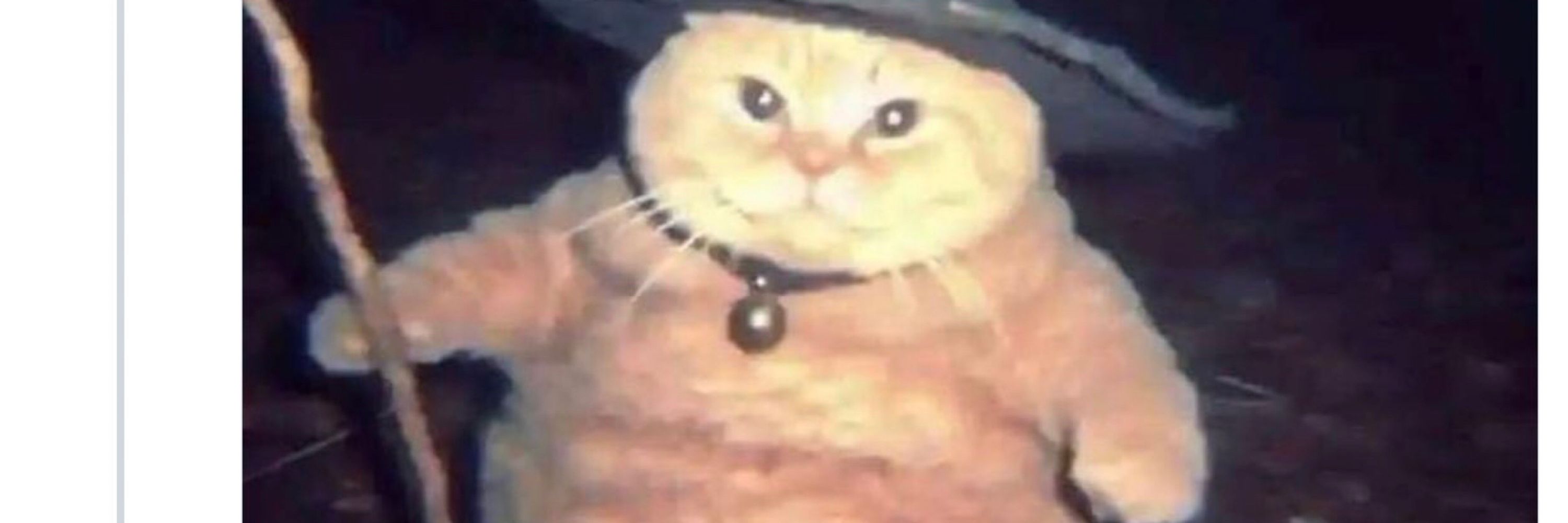 M.C