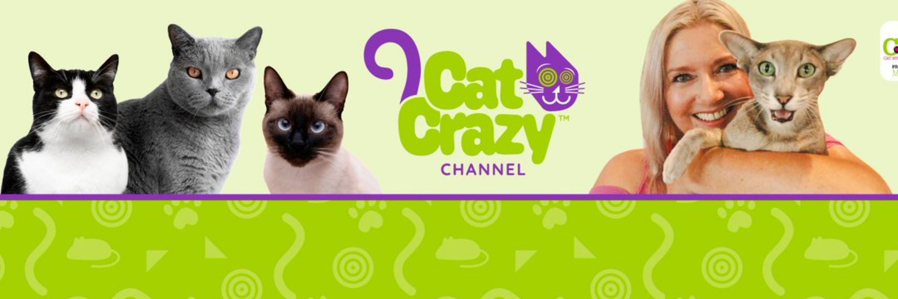 CatCrazy