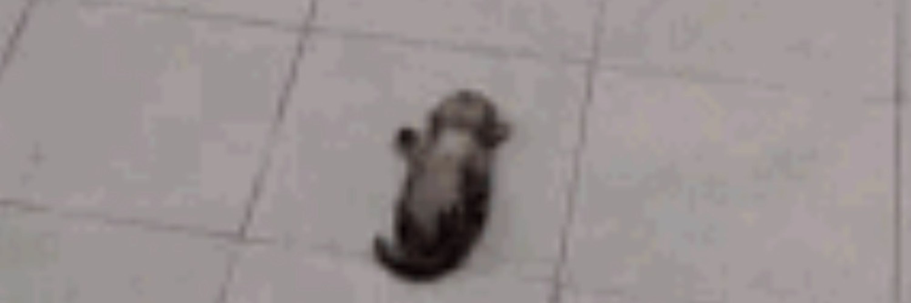Kromie