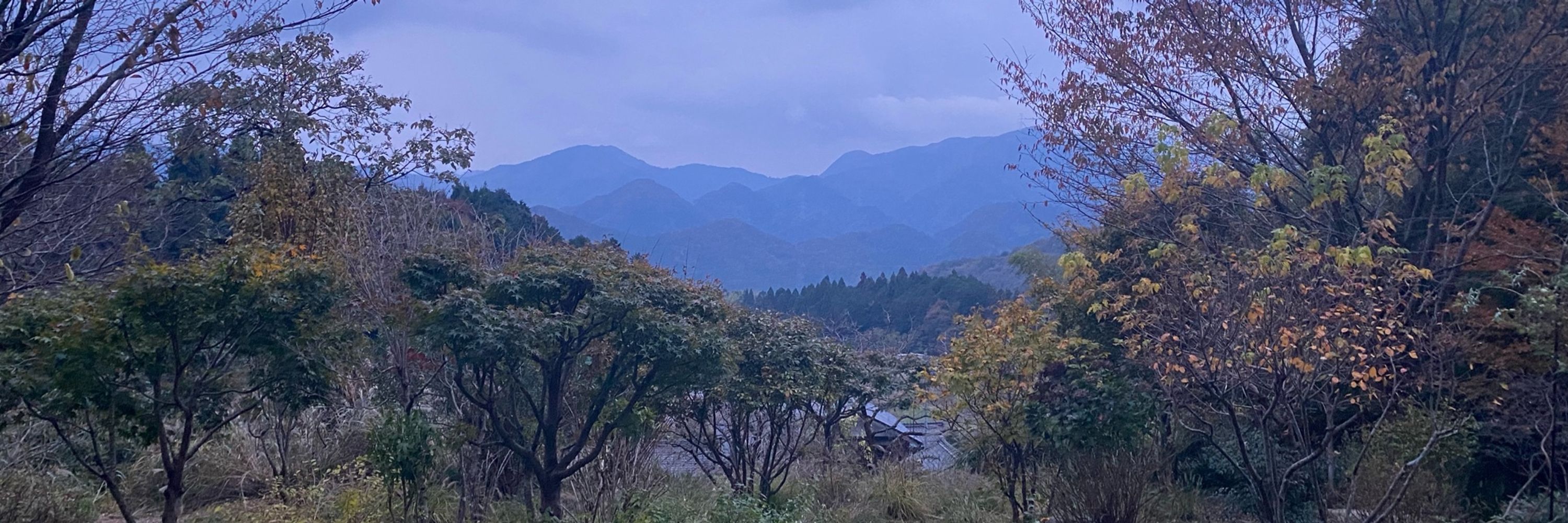 Kya Kim