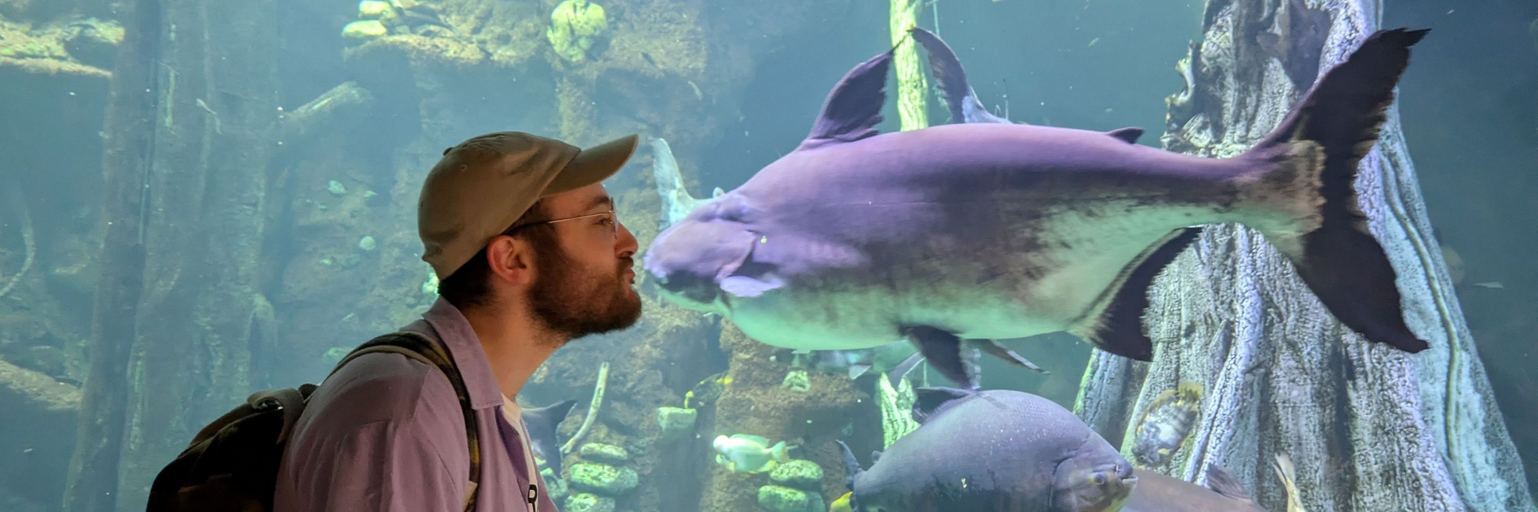 Dan Marx