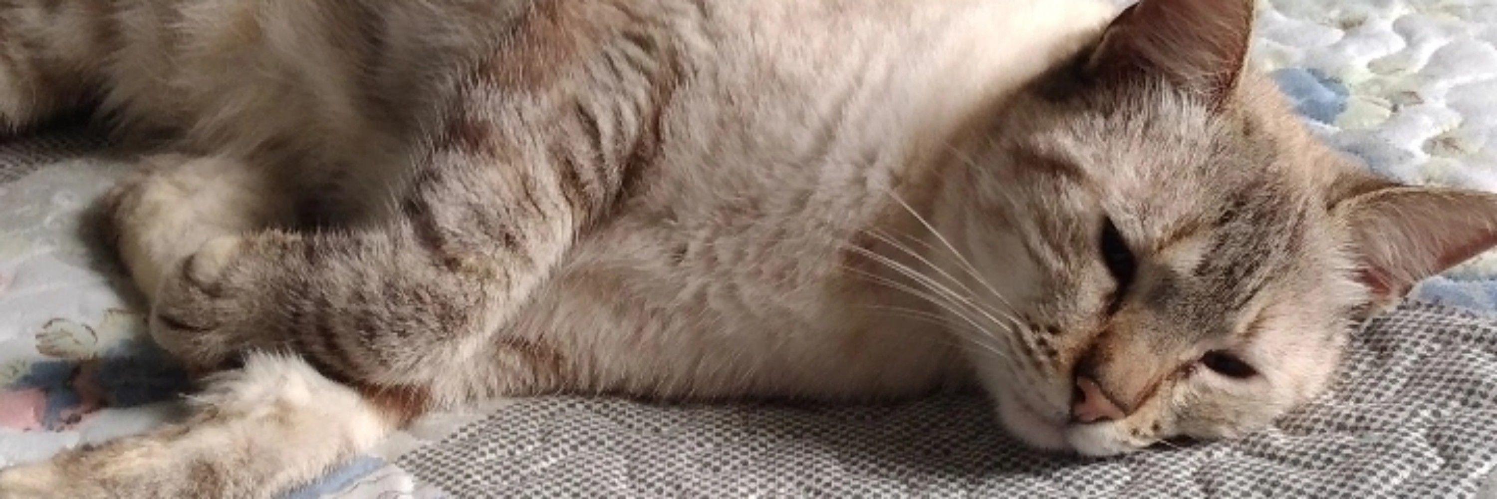 Isa💕