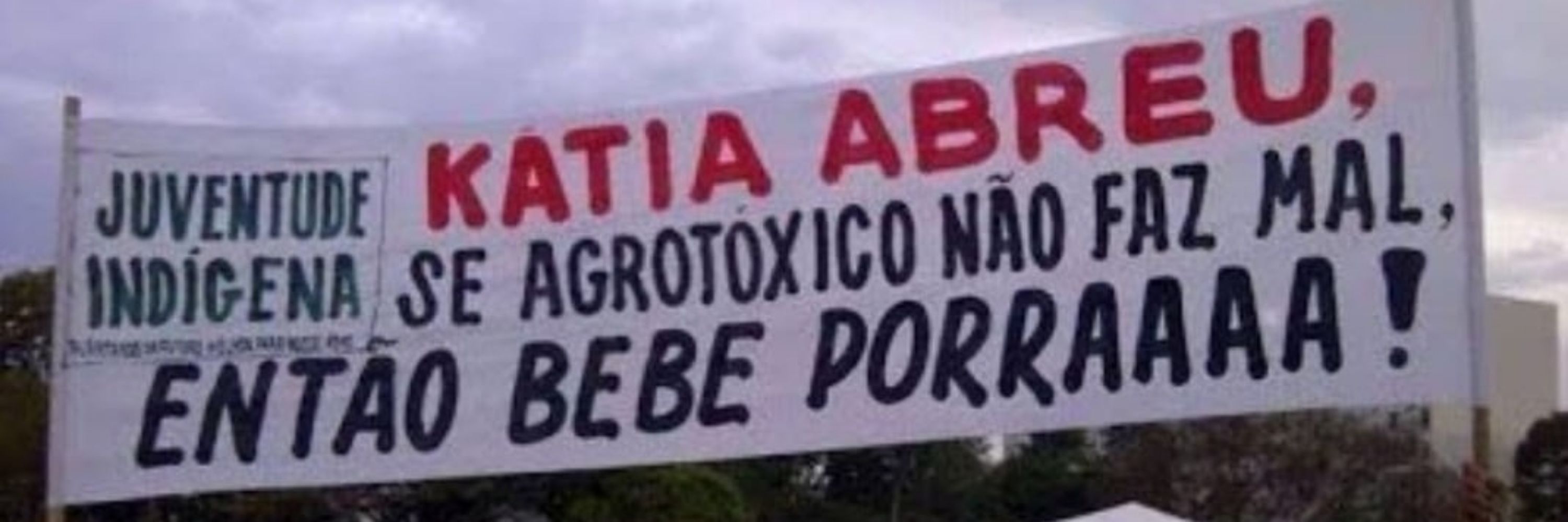 porco da telesena 