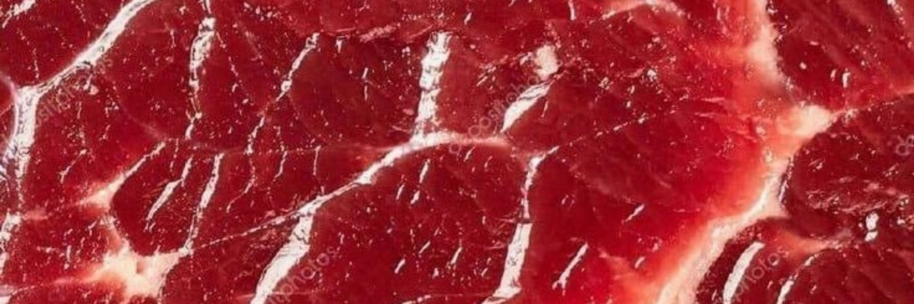 Kiko_kasumi🐁🥩 Kas the rat