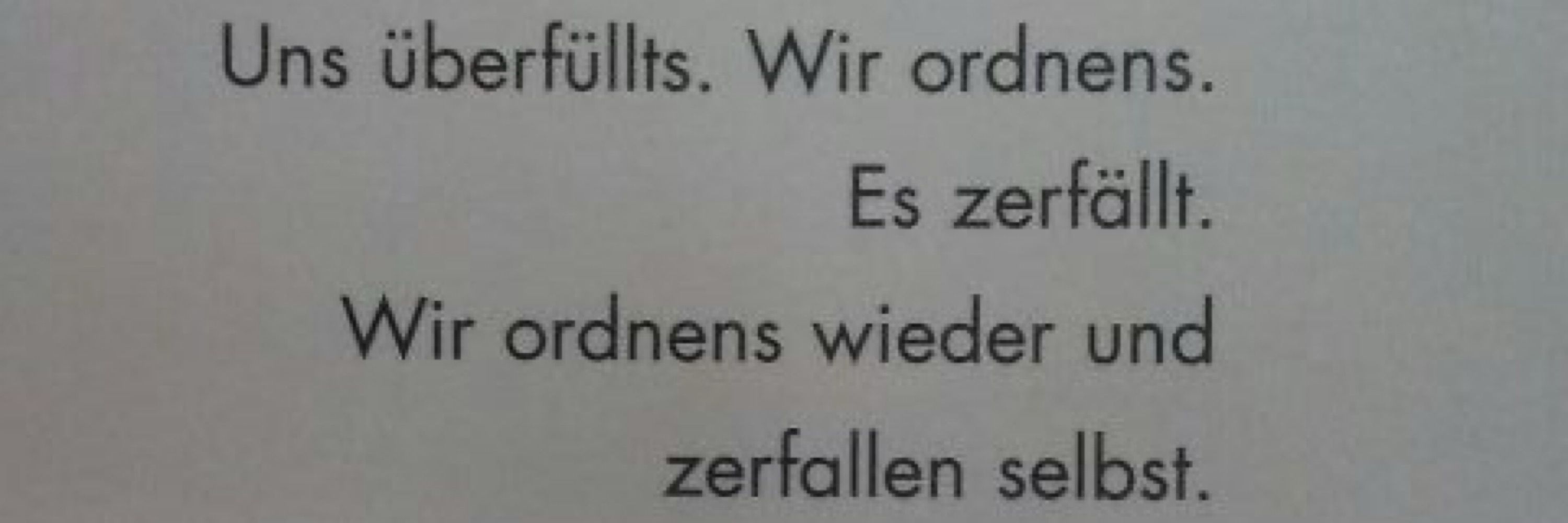 Steffi K.