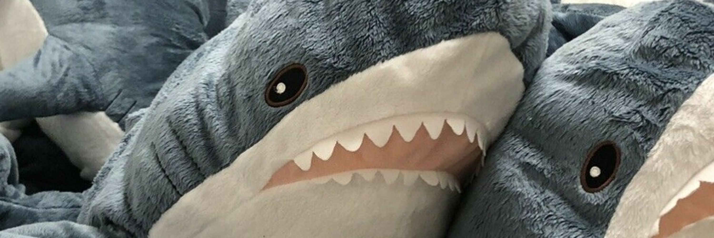 Mason Co. (PlushSharkPNGuber)