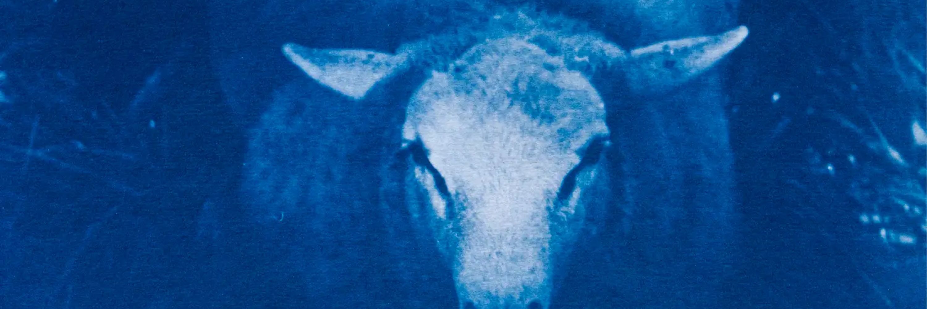 Michael Helminger