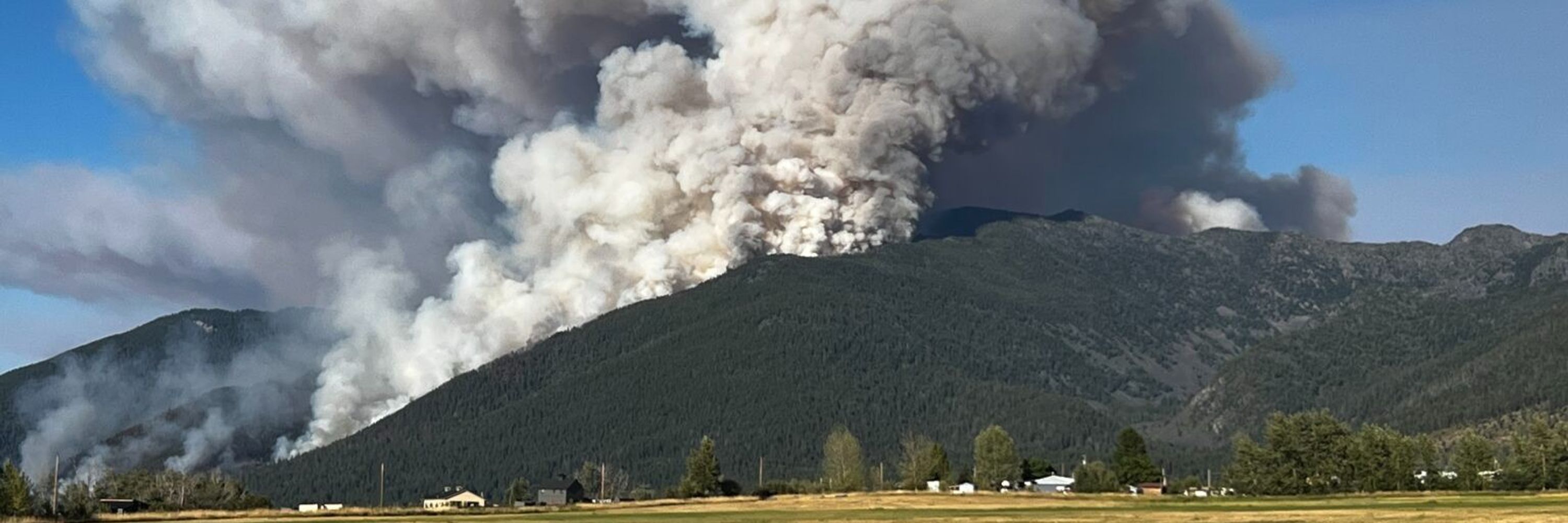 Brushfire MT