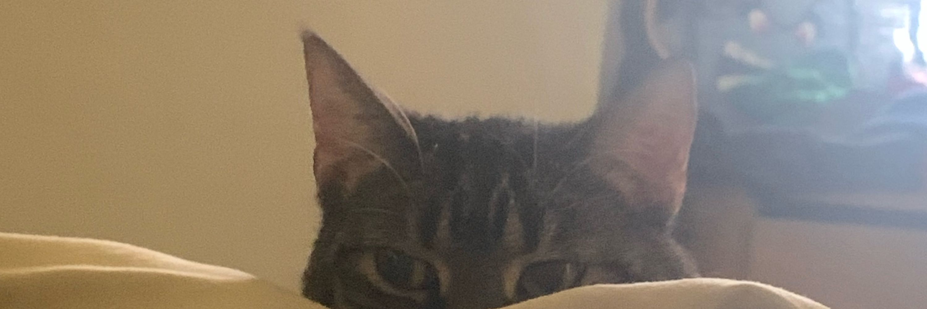 elias🖤