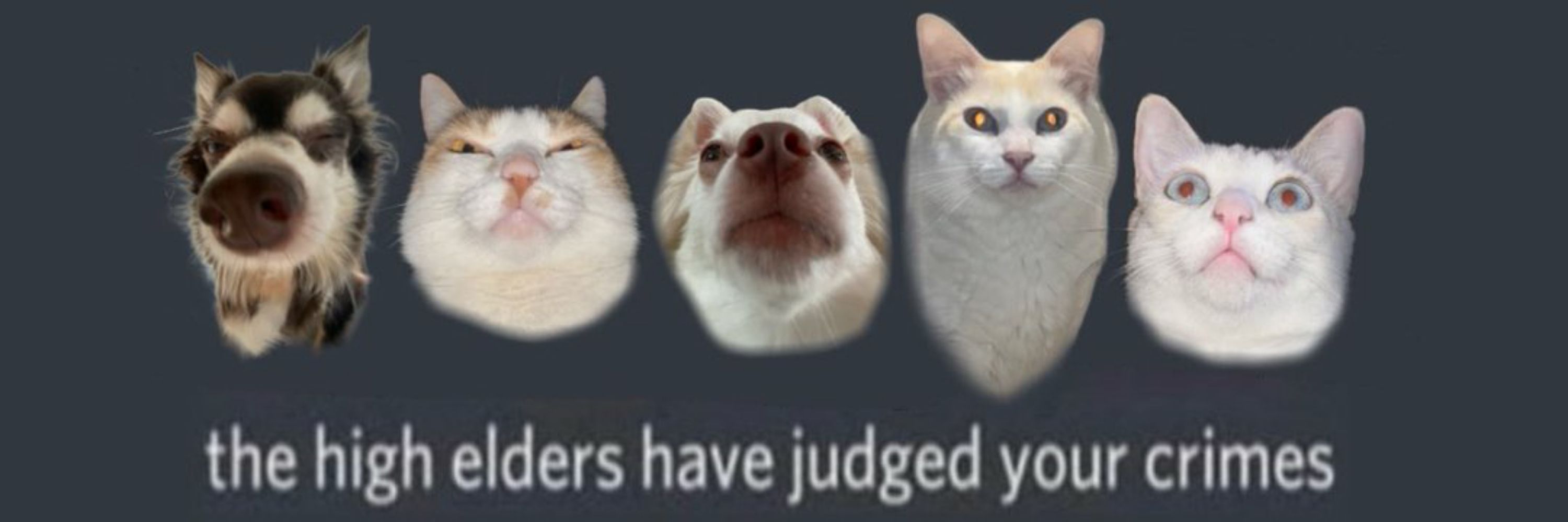 L.