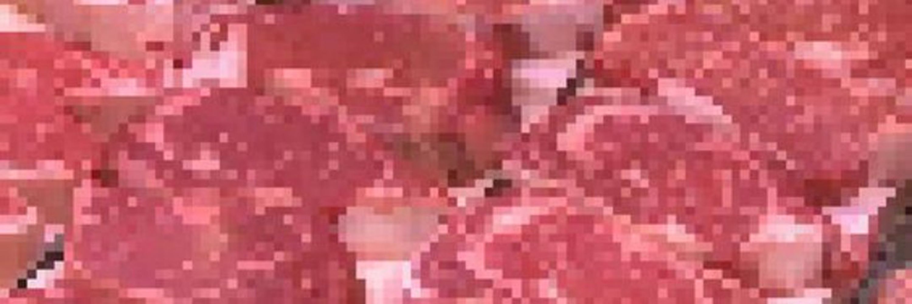 Y3J1Y2lhbiBjYXJw