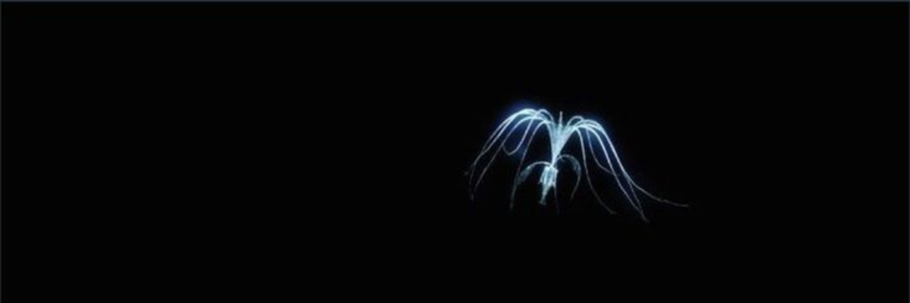 ꉂ🕷ʾ នoma_នketch ִֶָ𖧧៹ 𓂃 
