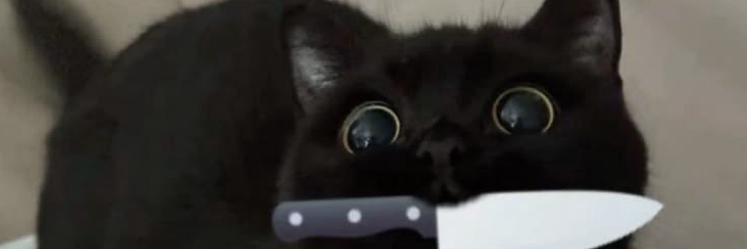 Ли