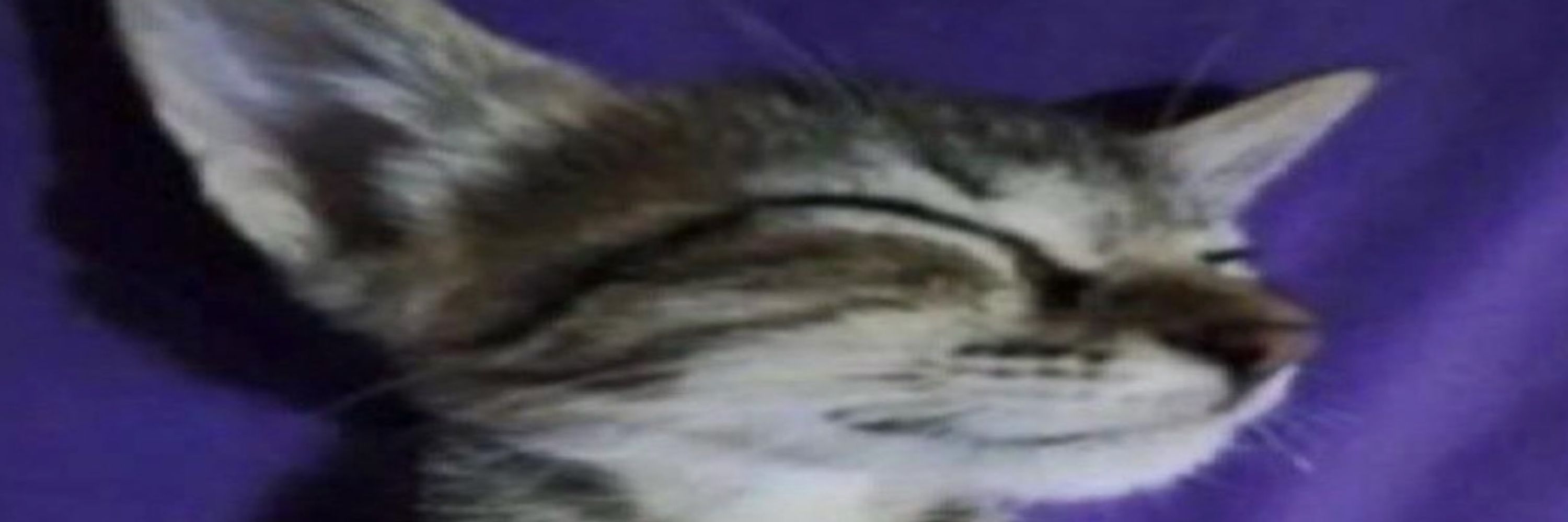 Eskaplayer12