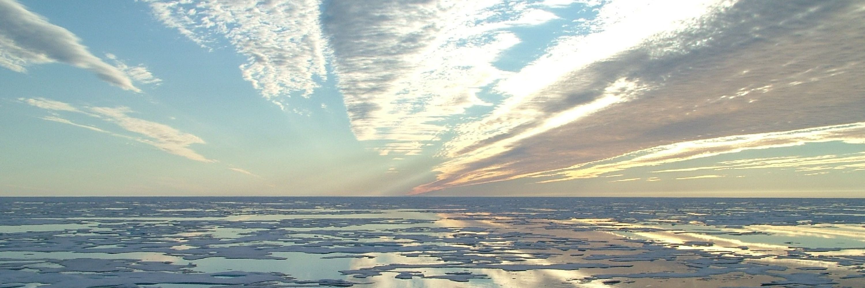 Arctic Research Consortium of the U.S. (ARCUS)