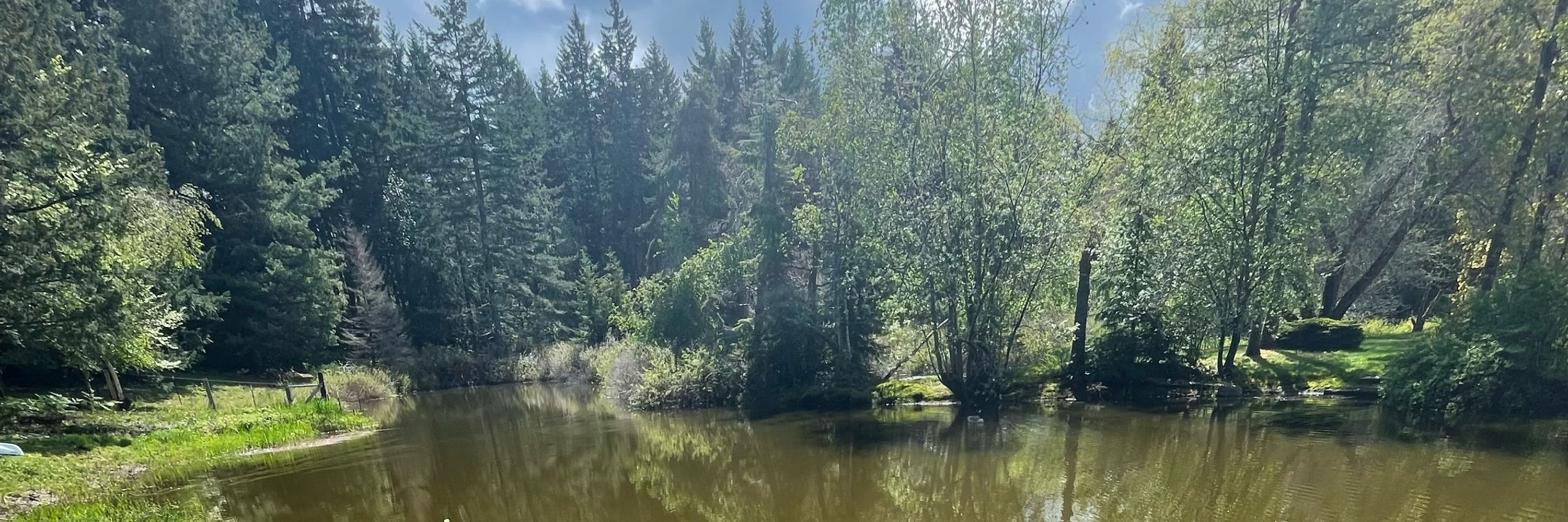 OnThePond