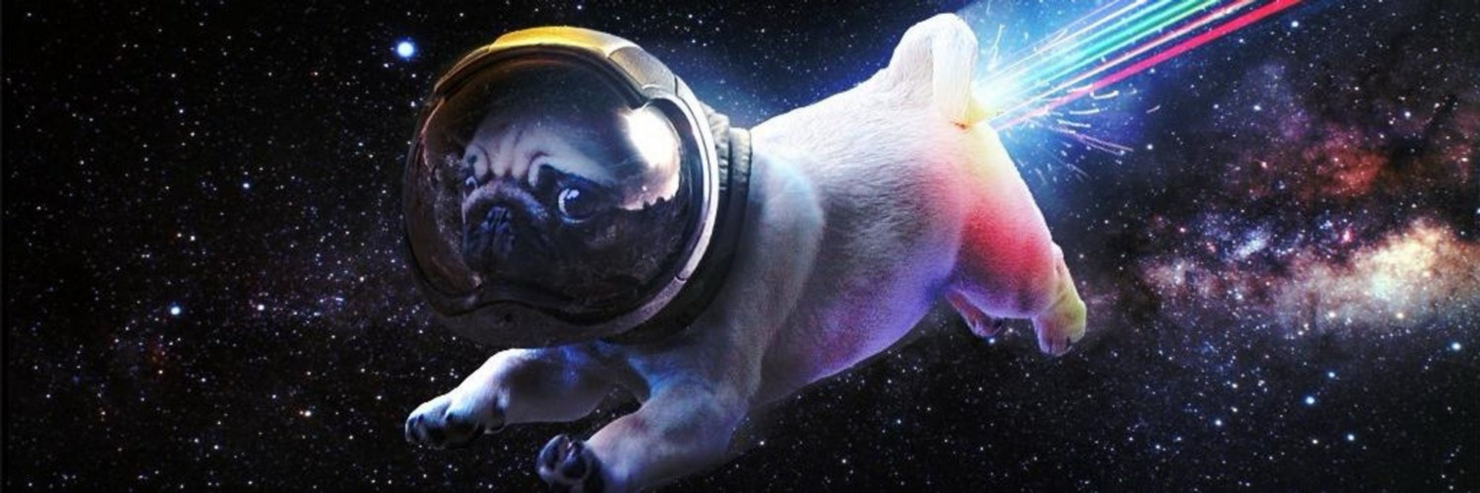 Pugmum