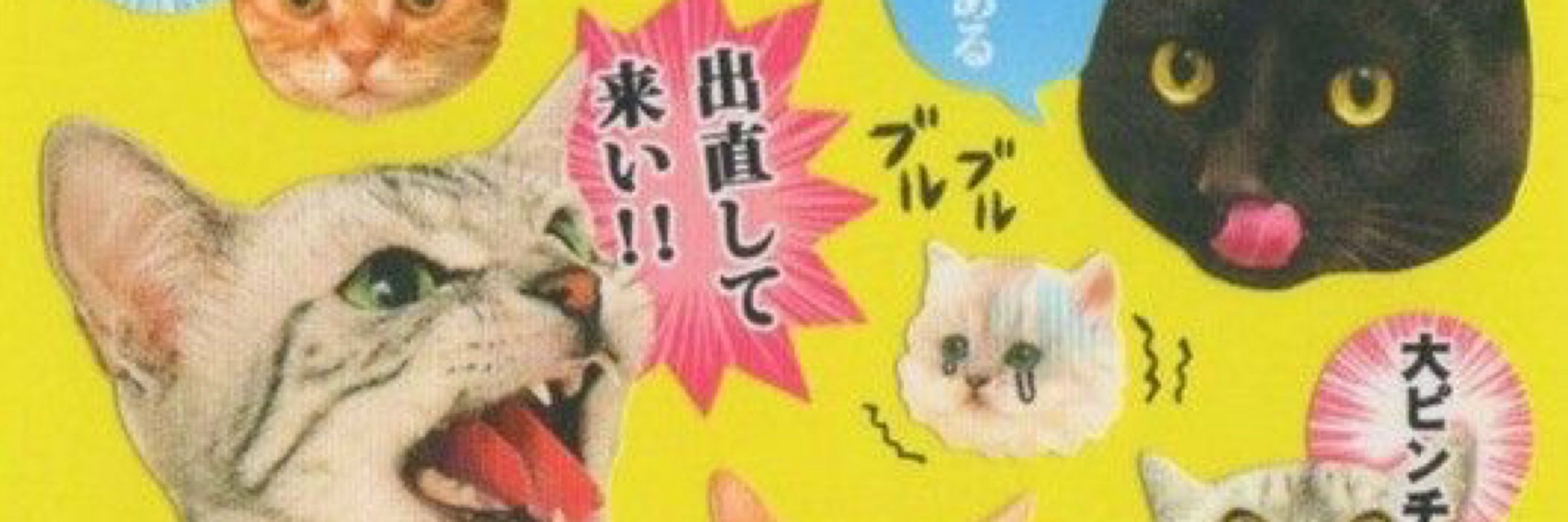 Paprika