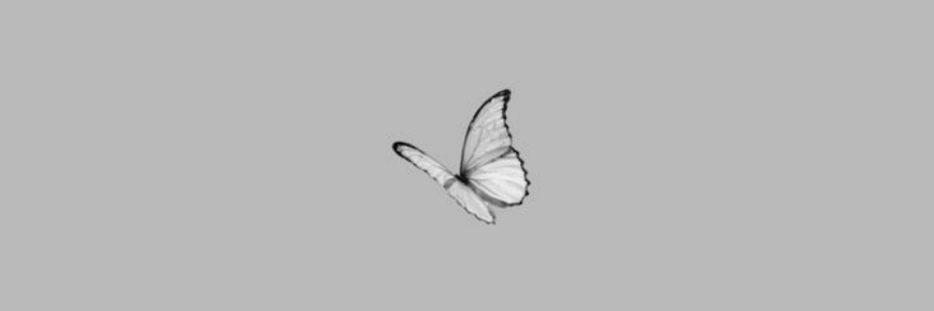 Juju🦋