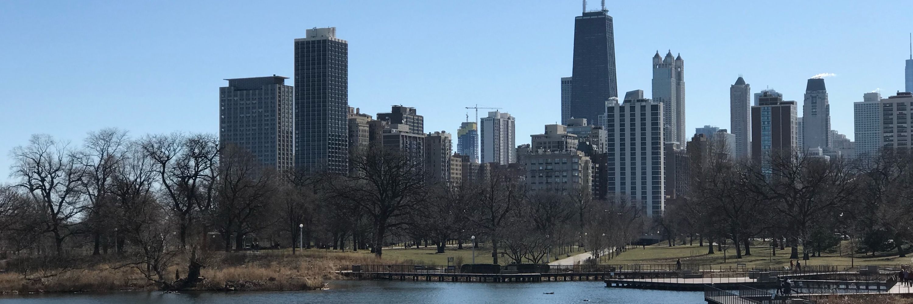 Tbonechicago