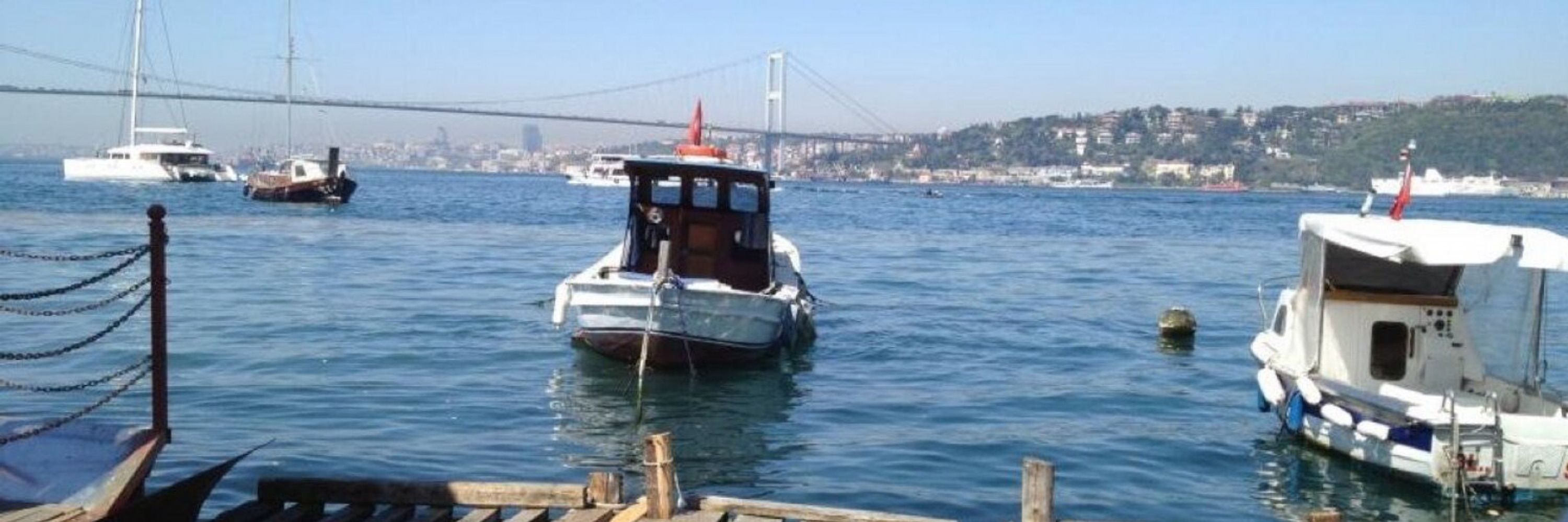 Ayla Erhan Memişyazıcı