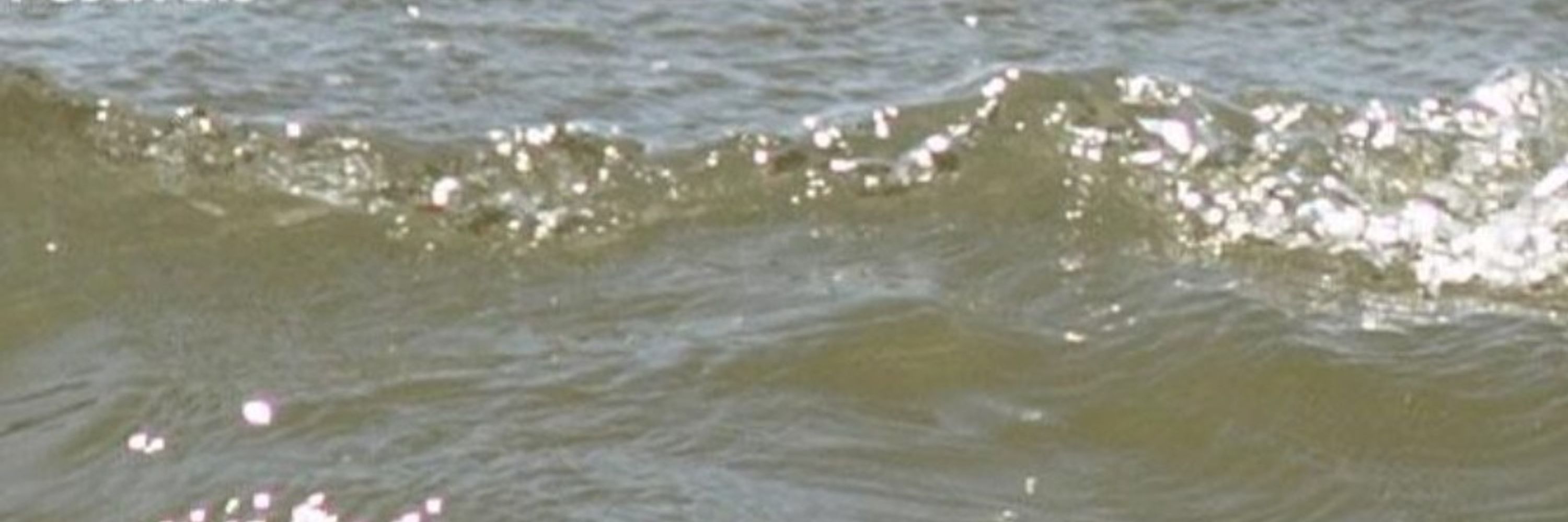 Nordostsee-Magazine