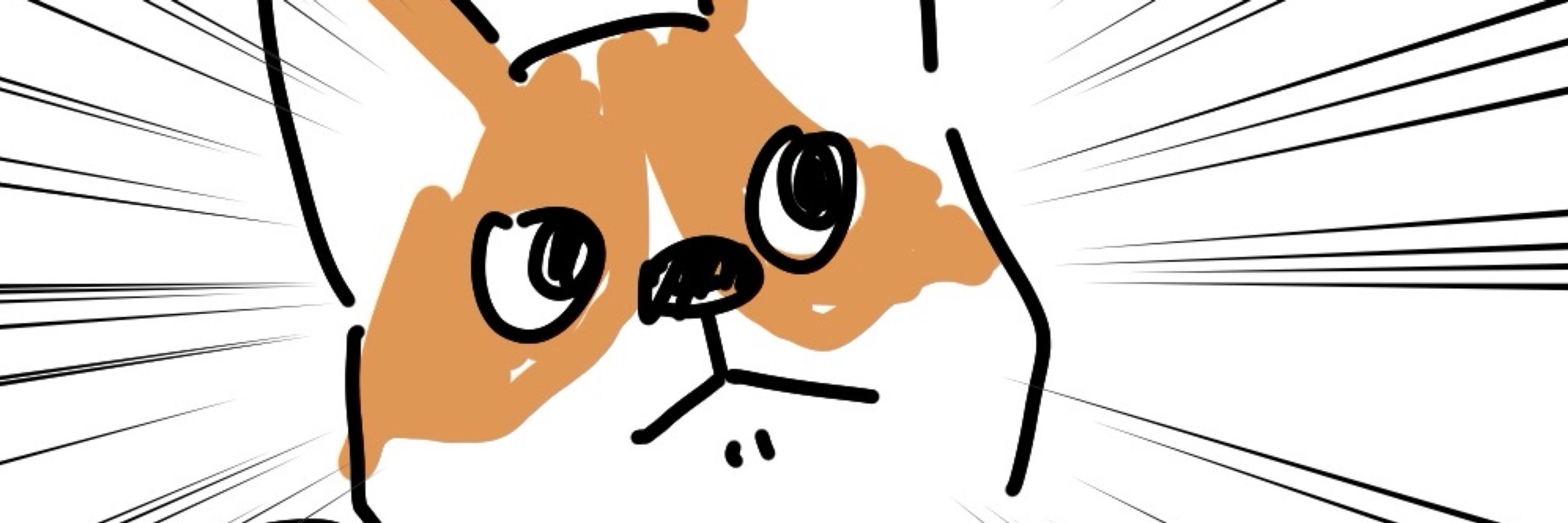 のきと