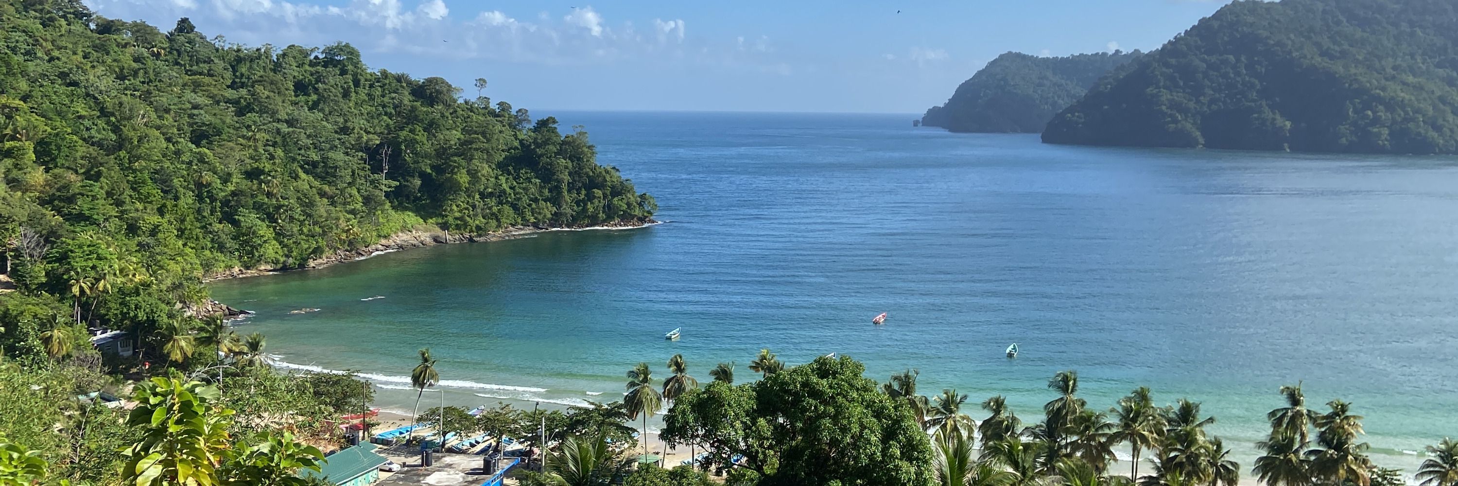 sarana 🌴