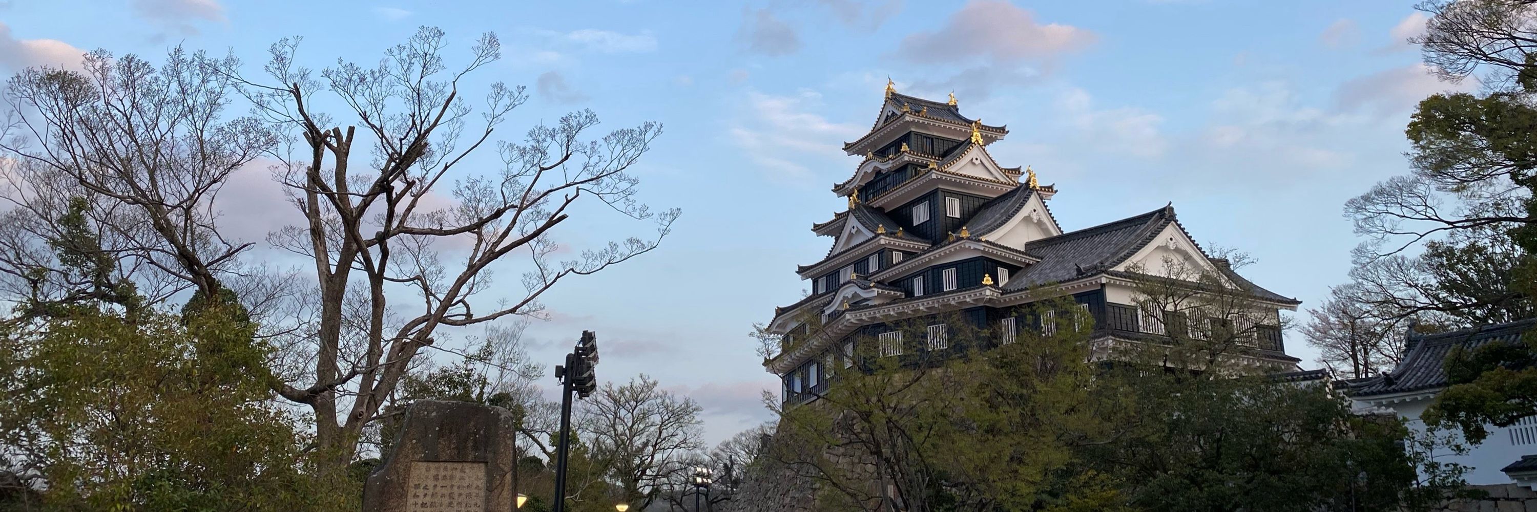 浅葱
